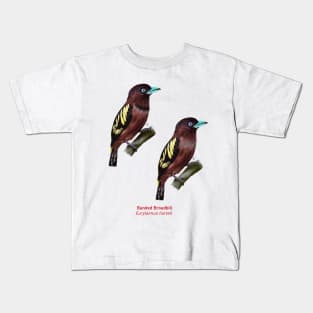 Banded Broadbill  | Eurylaimus harteti ⚥ Kids T-Shirt